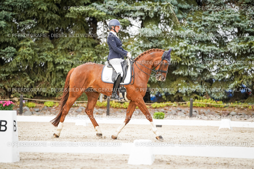 DSC09126 | Pferdegrafie