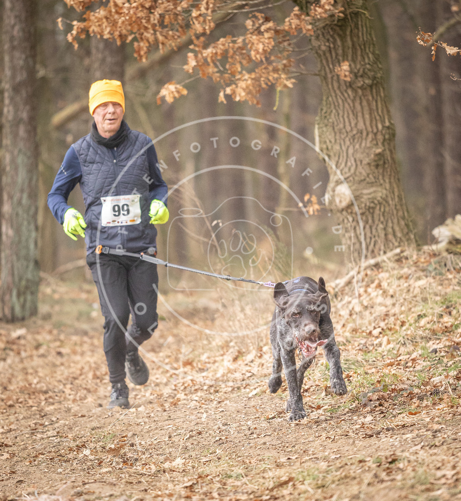 Pfotenfotografie_DV3A5012 | Hundefotografie, Tierfotograf, Pfotenfotografie, Fotoshooting Hund, Hunde Portrait, Hundesport, Hundeportraits, Heideshooting, Hunde, Sportfotograf, Hundefotograf, Turnierhundsport, THS,  - Realisiert mit Pictrs.com