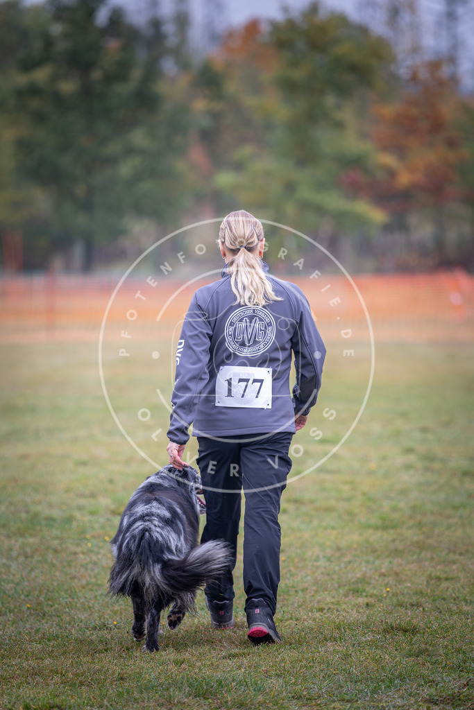 Pfotenfotografie_DV3A9408 | Hundefotografie, Tierfotograf, Pfotenfotografie, Fotoshooting Hund, Hunde Portrait, Hundesport, Hundeportraits, Heideshooting, Hunde, Sportfotograf, Hundefotograf, Turnierhundsport, THS,  - Realisiert mit Pictrs.com