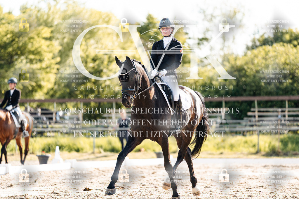 CK909896 | Turnierfotografie Pferdefotografie Trier Rheinland-Pfalz Pferdesport Reitsport Tierfotografie Sportfotografie Pferdevideo Pferdevideografie Equestrianvideography equestrianphotography  - Realisiert mit Pictrs.com