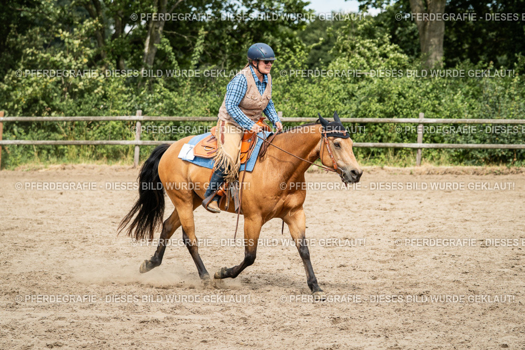 DSC01925 | Pferdegrafie