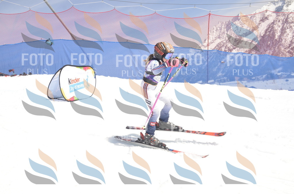 _ELE9488 | holidayphoto