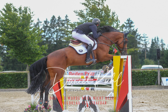 Monschau25_PktM_0063 | Turniersportfotografie; Pferdefotografie; Dressurfotografie