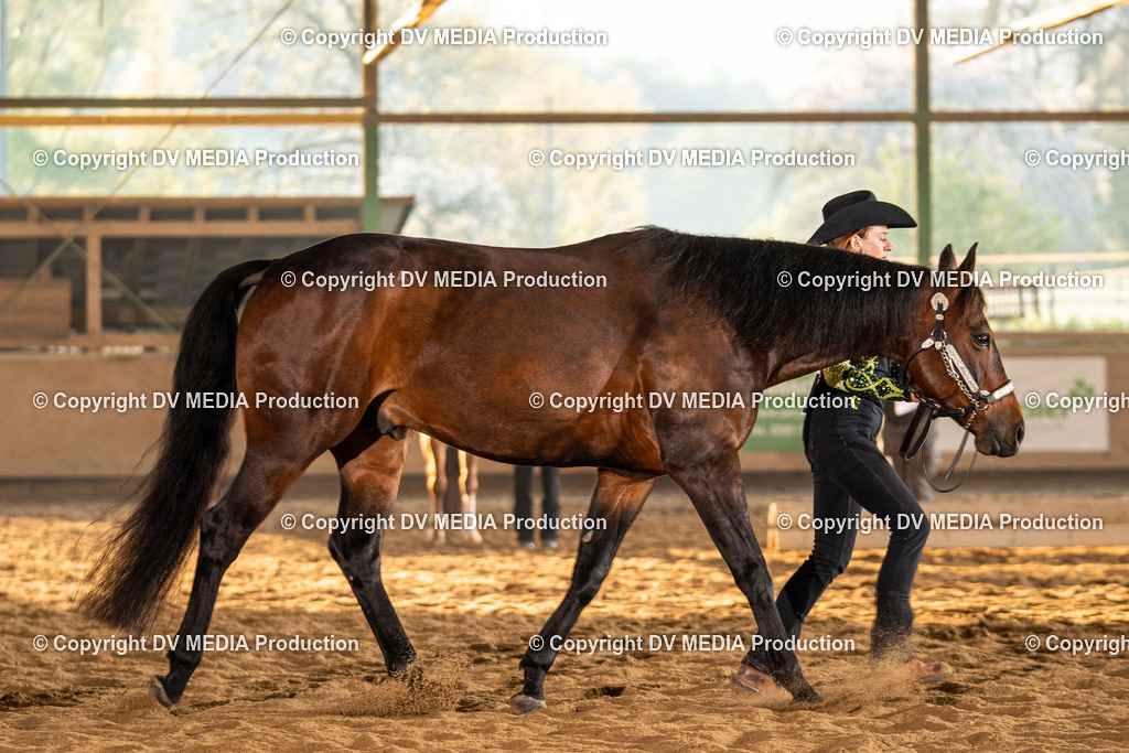 Balingen Tag 1-155 | dv-media-shop - Realisiert mit Pictrs.com