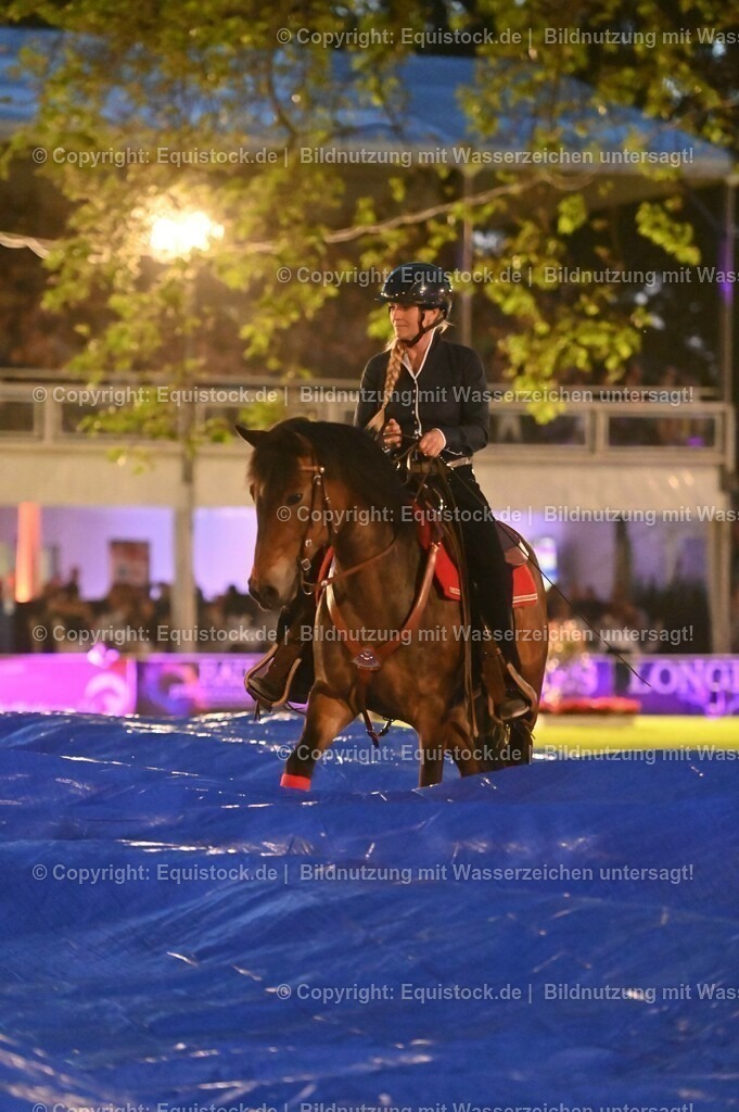 20230526_Pferdenacht_1008 | equistock