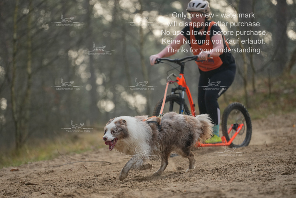 Scooter1-225 | stephaniefillaphotographie - Realisiert mit Pictrs.com