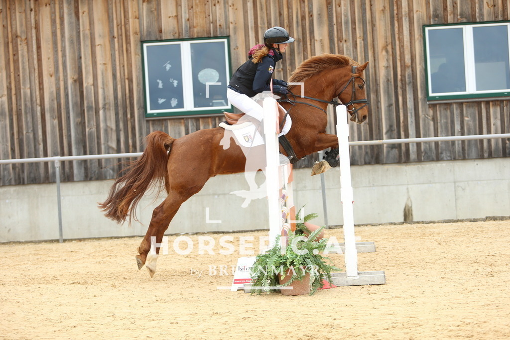 DL2Q1672 | Willkommen bei Brunnmayr - Design & Fotografie – Ihrem Spezialisten für Reitturniere und Pferdeveranstaltungen in Oberösterreich, Salzburg und Bayern! Seit über 17 Jahren sind wir leidenschaftlich dabei.