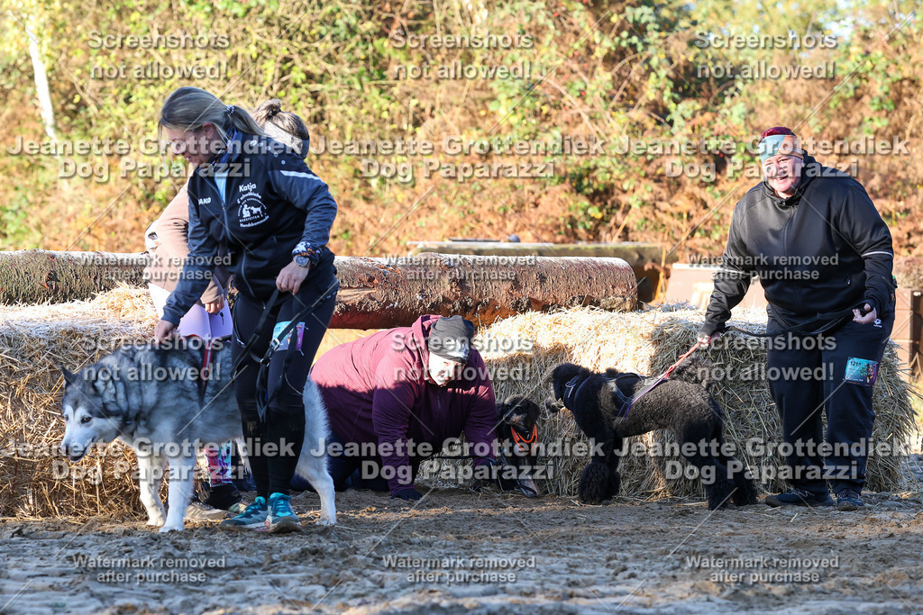 Dog Paparazzi - Strongdog 10-25-753 | Dog Paparazzi Jeanette Grottendiek Fotografie & Videografie - Realisiert mit Pictrs.com