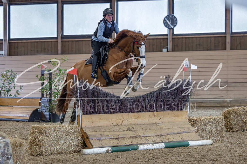 20260221-_3LI0064 | Tierfotografie Pferde, Hunde, Katzen, Haustiere.
Turnierfotografie Reitturniere, Reiten, Springreiten, Dressur in Hanau, dem Main-Kinzig-Kreis und dem Rhein-Main- Gebiet um Frankfurt