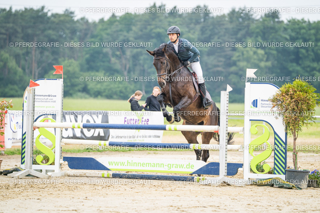 DSC00268 | Pferdegrafie