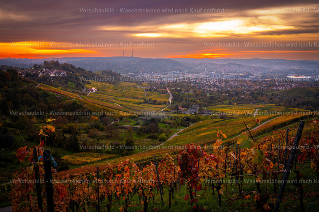 DSC05950 | marcuslinek