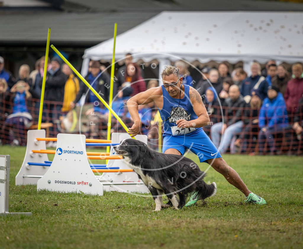 Pfotenfotografie_DV3A0190 | Hundefotografie, Tierfotograf, Pfotenfotografie, Fotoshooting Hund, Hunde Portrait, Hundesport, Hundeportraits, Heideshooting, Hunde, Sportfotograf, Hundefotograf, Turnierhundsport, THS,  - Realisiert mit Pictrs.com