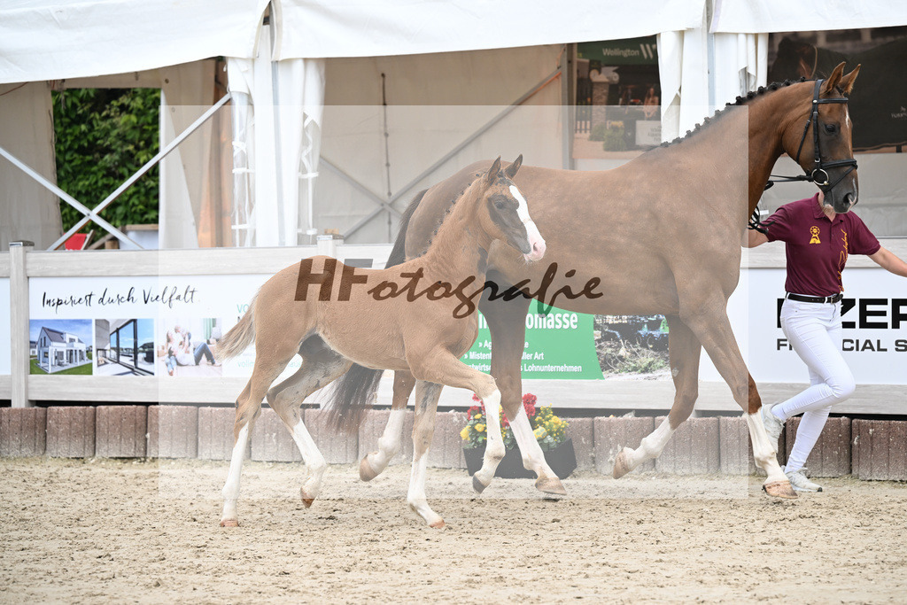 Filox x Borsalino_HF_Geiger_12250590 | hf-fotografie - Realisiert mit Pictrs.com