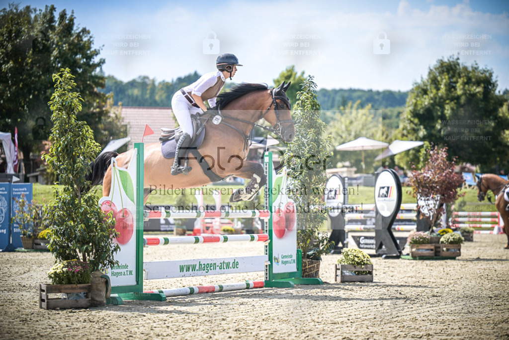 DOS_6267 | Entdecke hochwertige Reitturnierfotos von Foto Oger. Professionell, emotional und authentisch – jetzt Lieblingsmomente im Shop bestellen. - Realisiert mit Pictrs.com