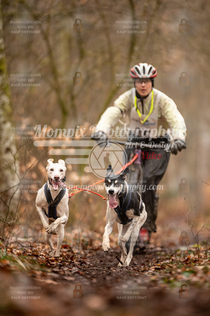Reiat2023_SON_DS2_5km_2H-23 | PayLife