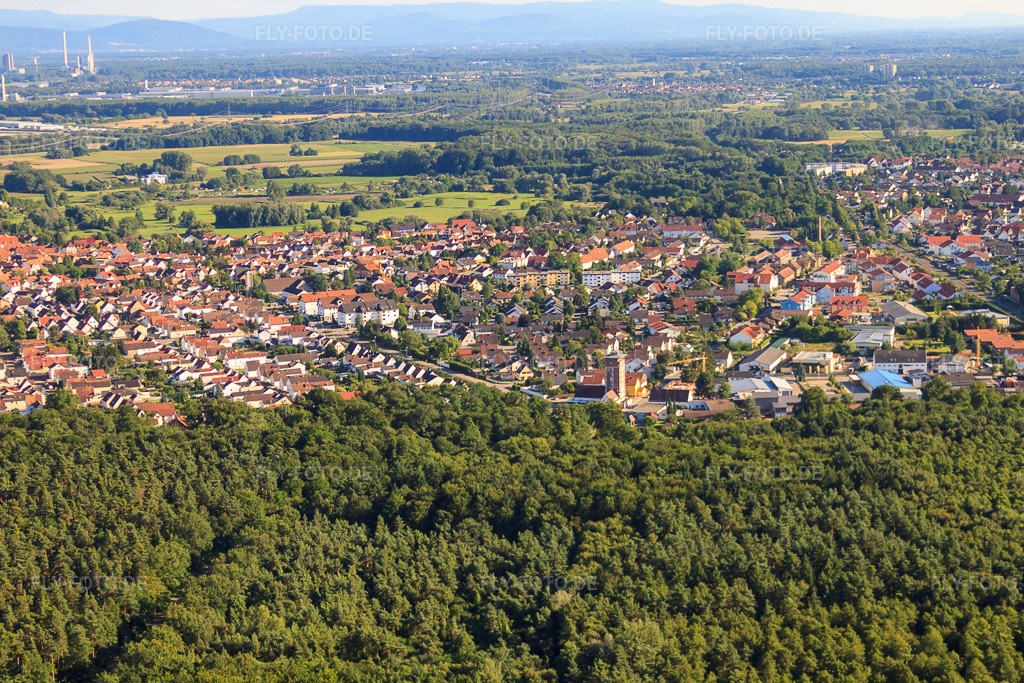 Luftbild: Stadtansicht von Norden in Jockgrim im Bundesland Rheinland-Pfalz in Deutschland. Foto: IMG_30793.jpg vom 31.07.2010 durch Werner Riehm/FLY-FOTO.de