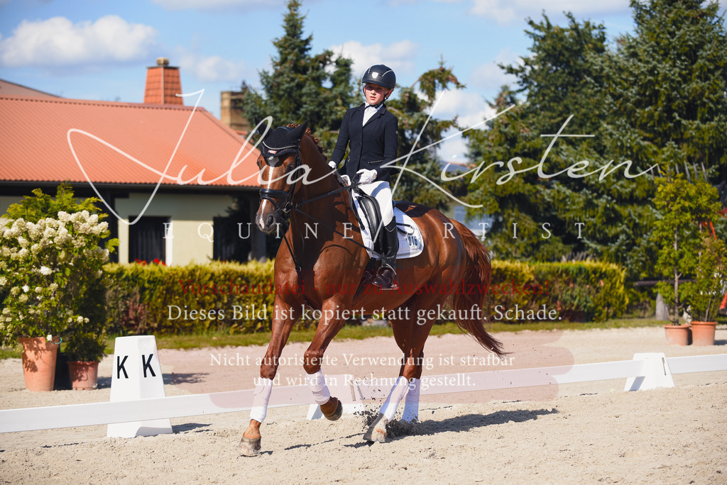 DSC_0095 | Pferde- und Turnierfotografie in Westsachsen. Pferdeportraits, Auftragszeichnungen und intuitive Kunst.