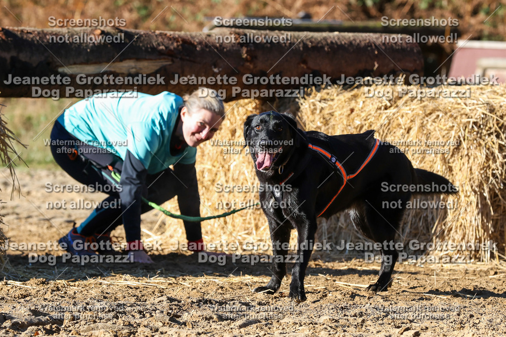Dog Paparazzi - Strongdog 10-25-1933 | Dog Paparazzi Jeanette Grottendiek Fotografie & Videografie - Realisiert mit Pictrs.com