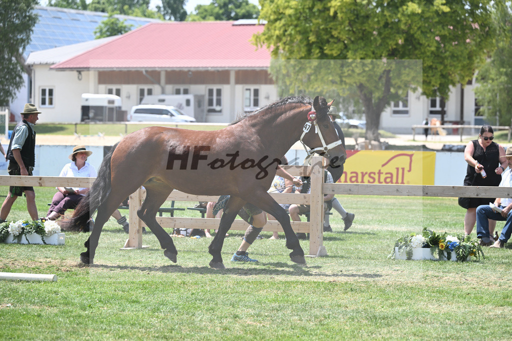 Kat-Nr. 47 Nymphenburg_Huber_20230753 | hf-fotografie - Realisiert mit Pictrs.com