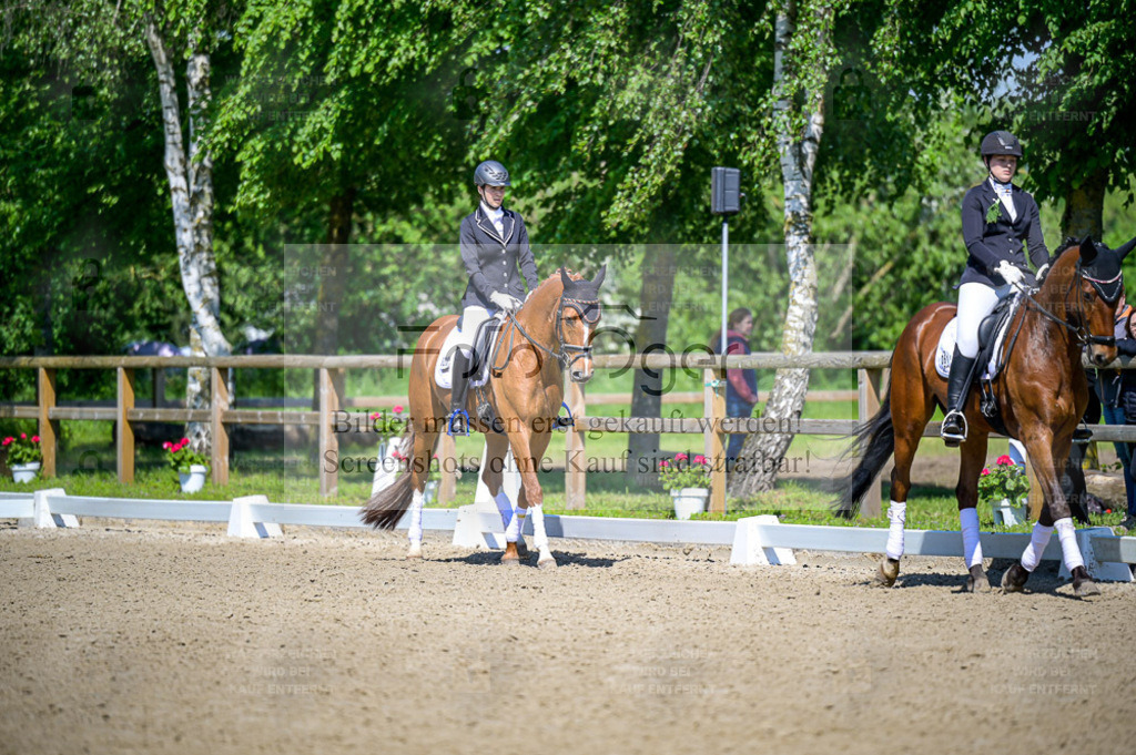 Reitturnier Lienen | Entdecke hochwertige Reitturnierfotos von Foto Oger. Professionell, emotional und authentisch – jetzt Lieblingsmomente im Shop bestellen. - Realisiert mit Pictrs.com