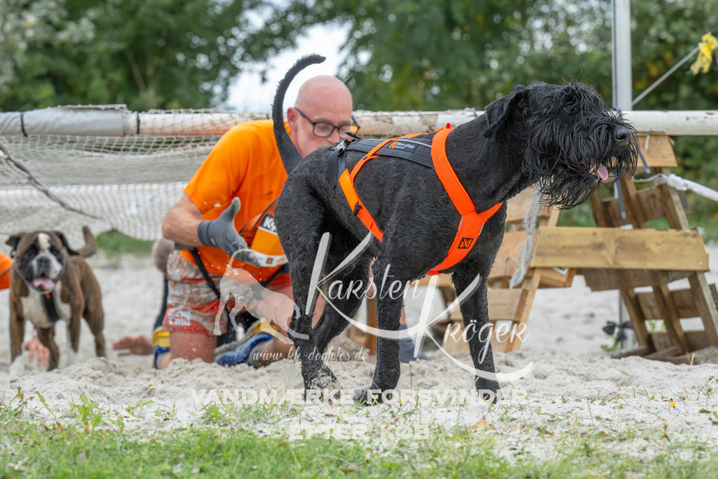 1041_ZZ94908 | kk-dogfotos
