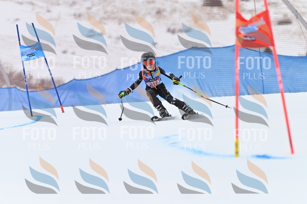 BGV_2793 | holidayphoto