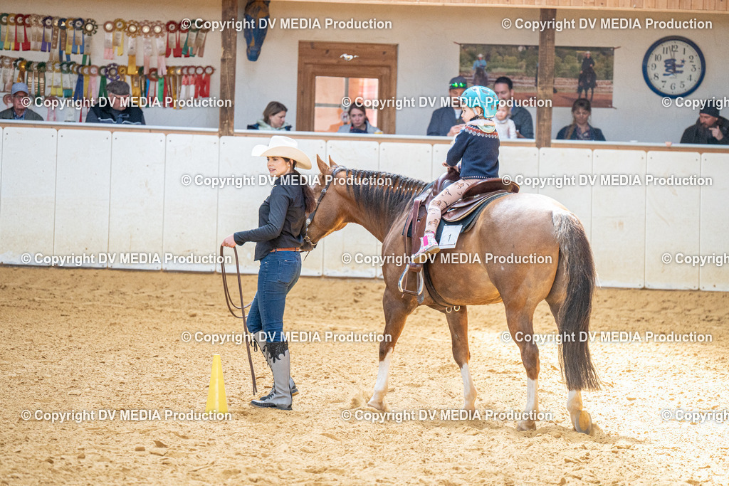 MIT01158 | dv-media-shop - Realisiert mit Pictrs.com