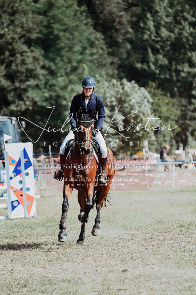 DSC_9405 | Pferde- und Turnierfotografie in Westsachsen. Pferdeportraits, Auftragszeichnungen und intuitive Kunst.