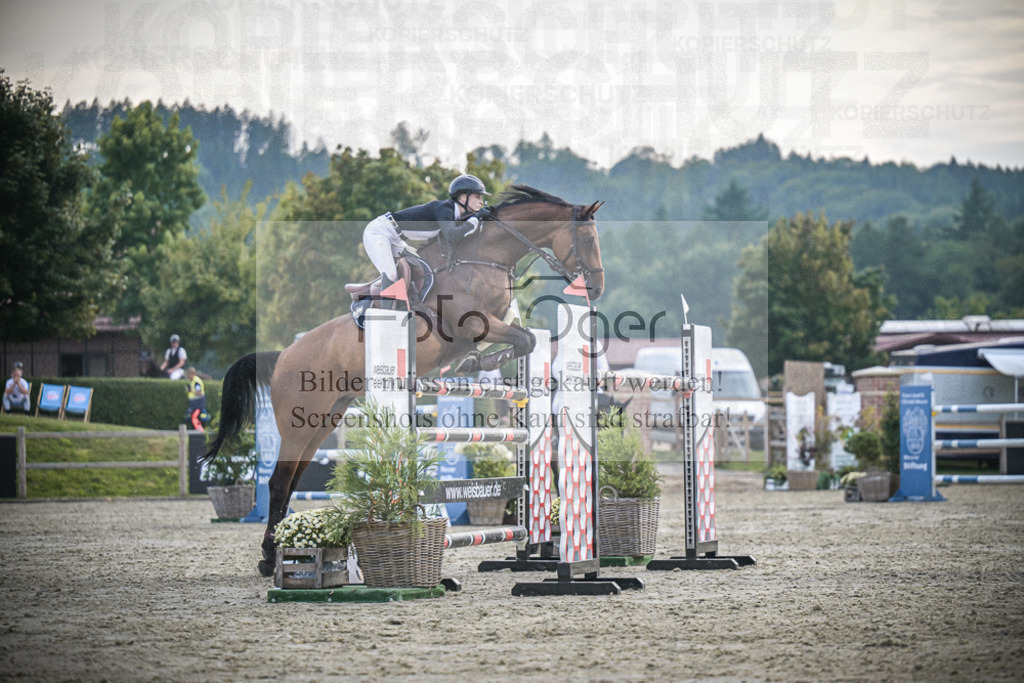 DOS_3534 | Entdecke hochwertige Reitturnierfotos von Foto Oger. Professionell, emotional und authentisch – jetzt Lieblingsmomente im Shop bestellen.Deutschlandweite Turnierfotografie. - Realisiert mit Pictrs.com