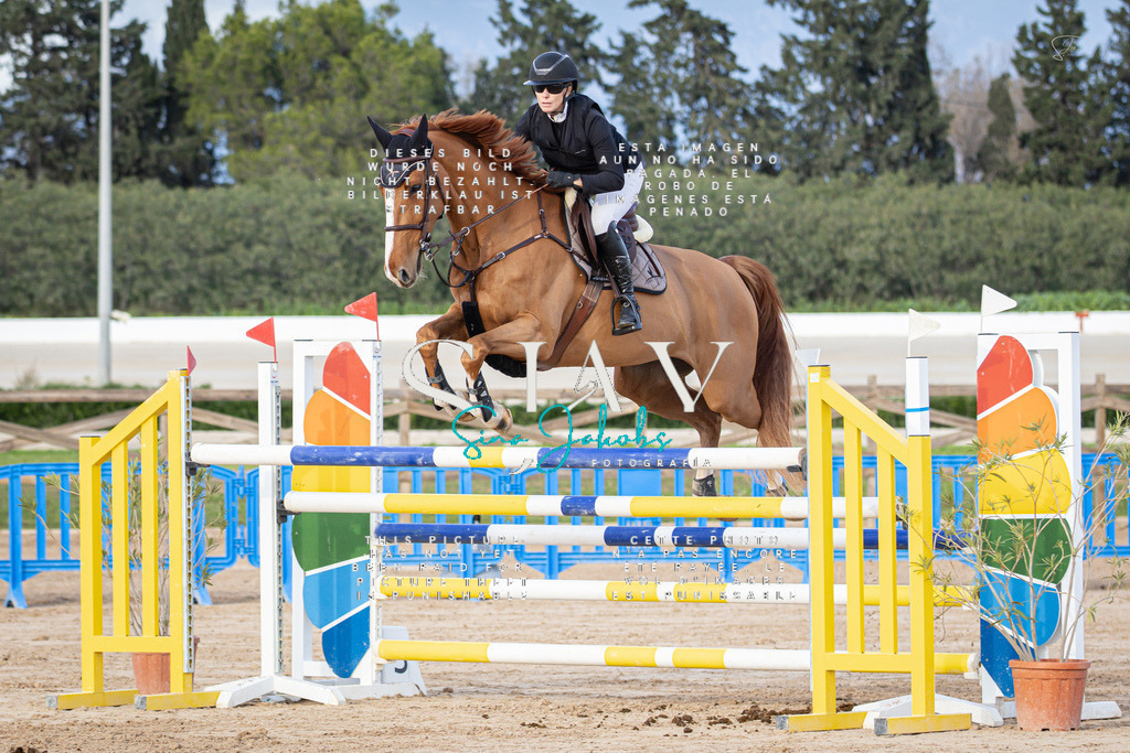 IMG_0658 | s-jay-photography - Realisiert mit Pictrs.com