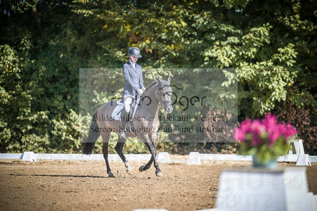 DOS_3105 | Entdecke hochwertige Reitturnierfotos von Foto Oger. Professionell, emotional und authentisch – jetzt Lieblingsmomente im Shop bestellen.Deutschlandweite Turnierfotografie. - Realisiert mit Pictrs.com