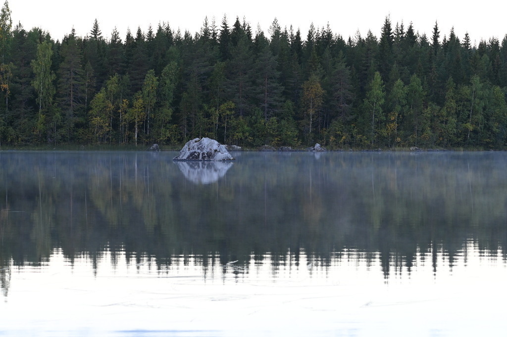 DSC_1042 | galerie_naturfotografie - Realisiert mit Pictrs.com