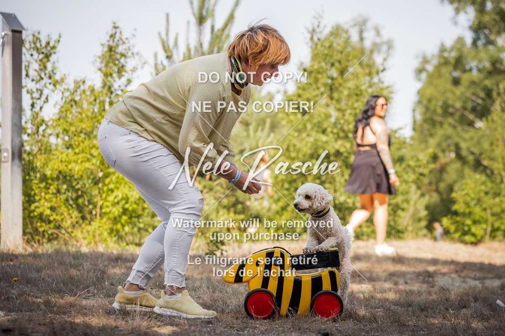nelerasche_soDD1_332 | nelerasche