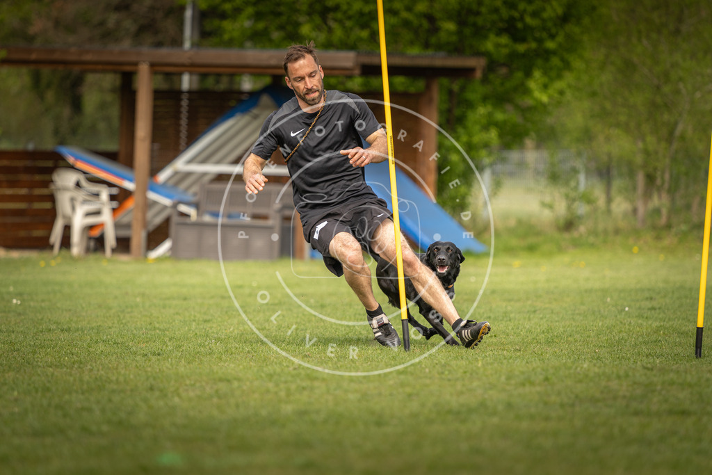 Pfotenfotografie_DV3A5503 | Hundefotografie, Tierfotograf, Pfotenfotografie, Fotoshooting Hund, Hunde Portrait, Hundesport, Hundeportraits, Heideshooting, Hunde, Sportfotograf, Hundefotograf, Turnierhundsport, THS,  - Realisiert mit Pictrs.com