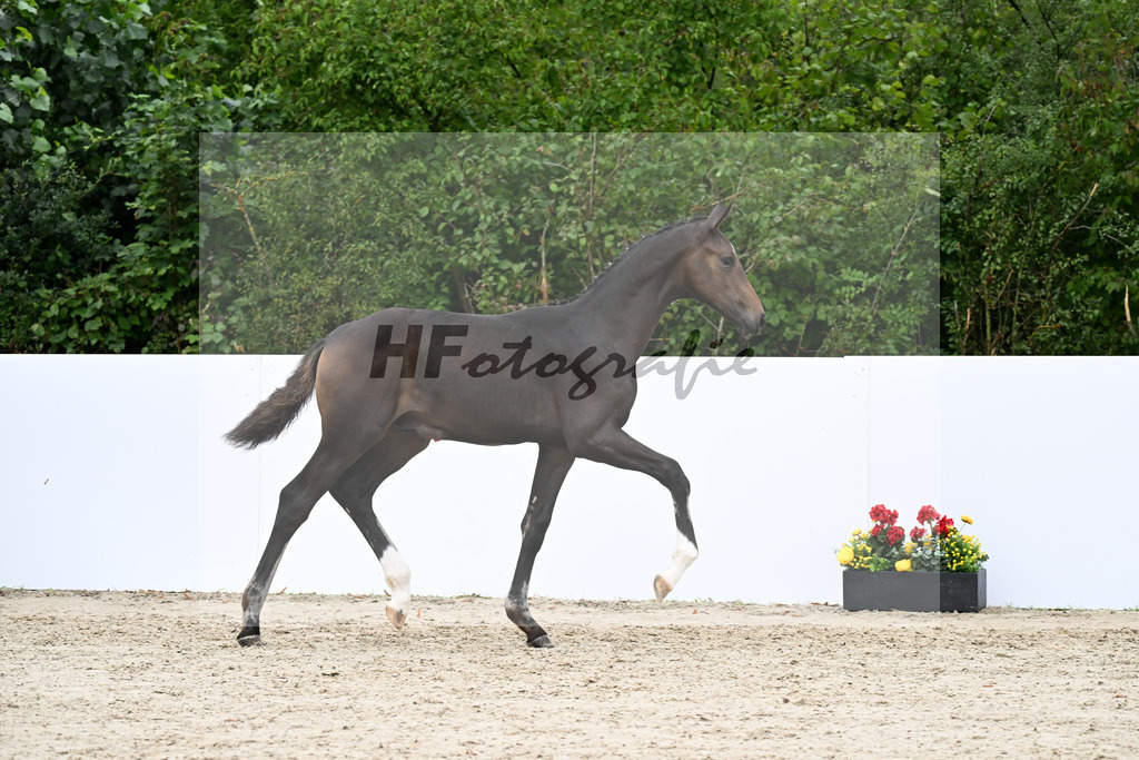 Fiji x Secret_HF_Syha_ Winkler_23250581 | hf-fotografie - Realizzato con Pictrs.com