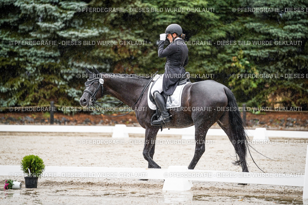 DSC08503 | Pferdegrafie