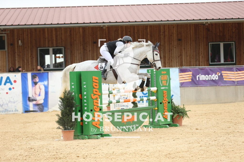 DL2Q5616 | Willkommen bei Brunnmayr - Design & Fotografie – Ihrem Spezialisten für Reitturniere und Pferdeveranstaltungen in Oberösterreich, Salzburg und Bayern! Seit über 17 Jahren sind wir leidenschaftlich dabei.