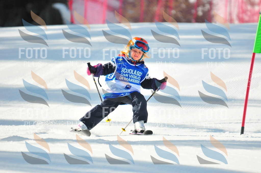 B9115 | holidayphoto