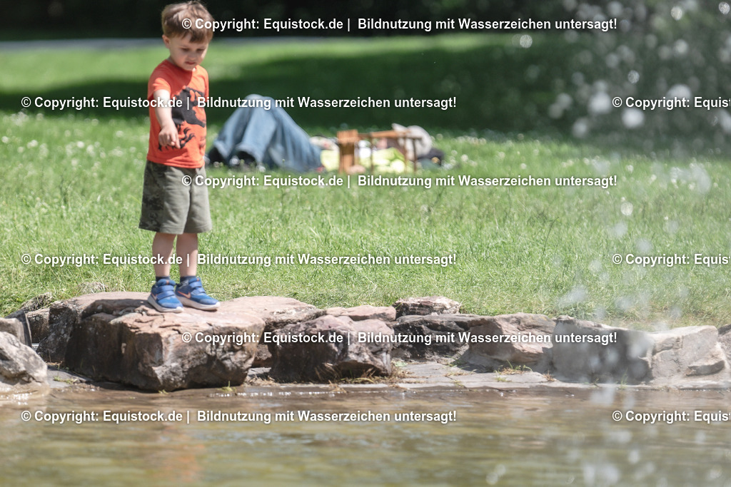 DSC_0198 | equistock