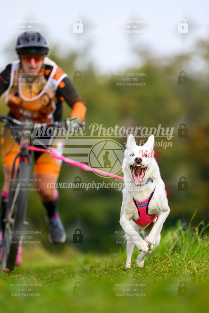 MompixPhotography_CDLBDB2025_DI_DS-95 | PayLife