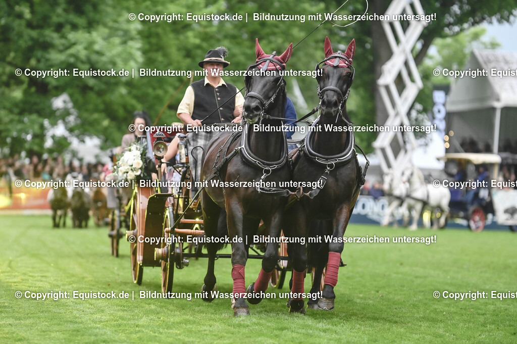 20240517_Lange-Pferdenacht_0088 | Foto: Thomas Hartig