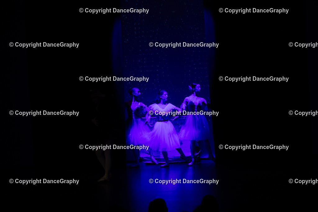 GPHY1636 | DanceGraphy - Realisiert mit Pictrs.com