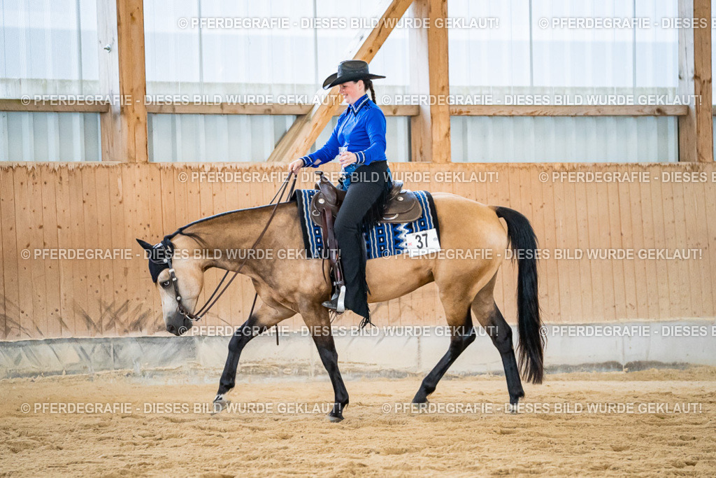 DSC09123 | Pferdegrafie