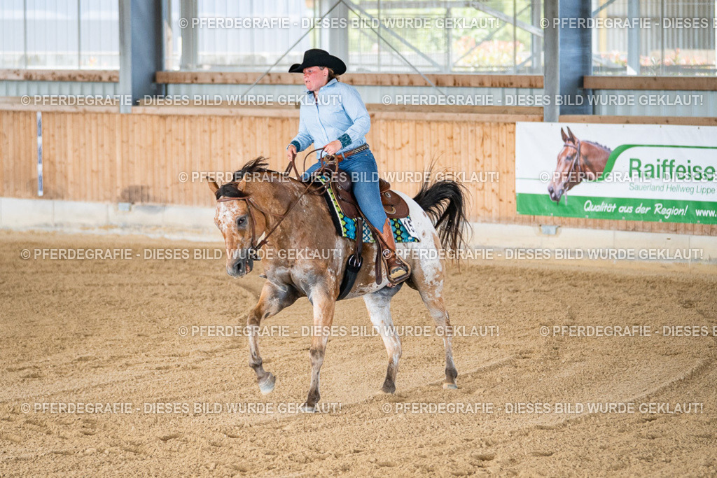 DSC02121 | Pferdegrafie