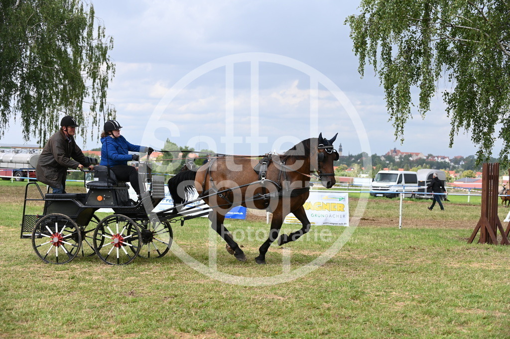 DSC_9006 | sattelsport - Realisiert mit Pictrs.com