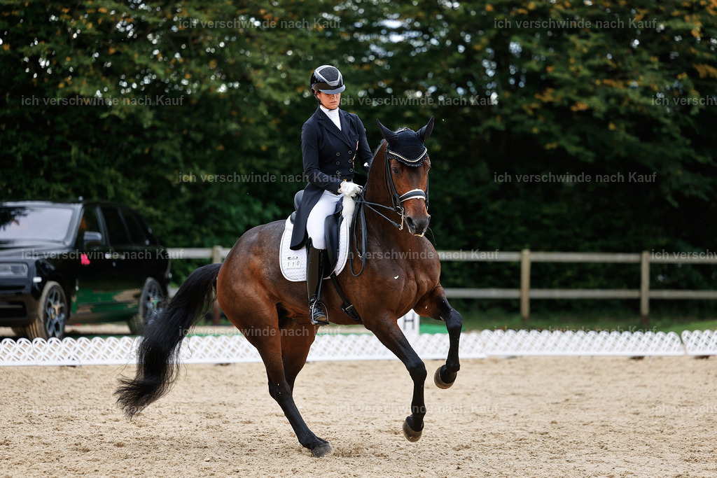 11-110-Dressur S___-StoibPH-1371 | working equitationturnier fotograf videograf stoibphotography marixx film working equitation deutschland reitsport turnierfotografie eventfotografie equestrian events