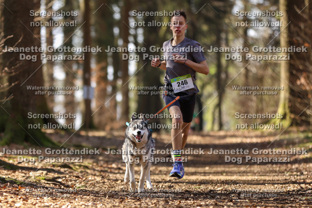 Dog Paparazzi - VCC26-1105 | Dog Paparazzi Jeanette Grottendiek Fotografie & Videografie - Realisiert mit Pictrs.com