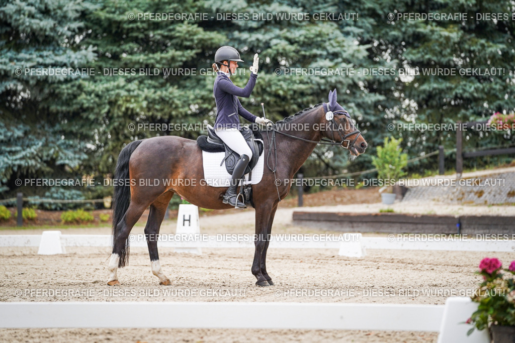 DSC01232 | Pferdegrafie