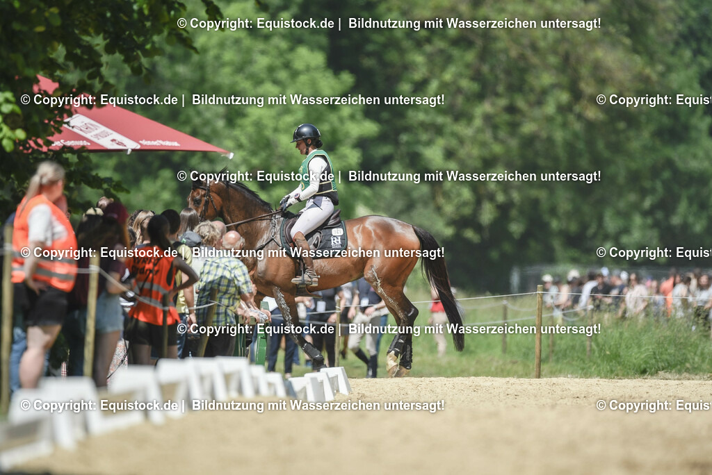 TP5_1377 | equistock