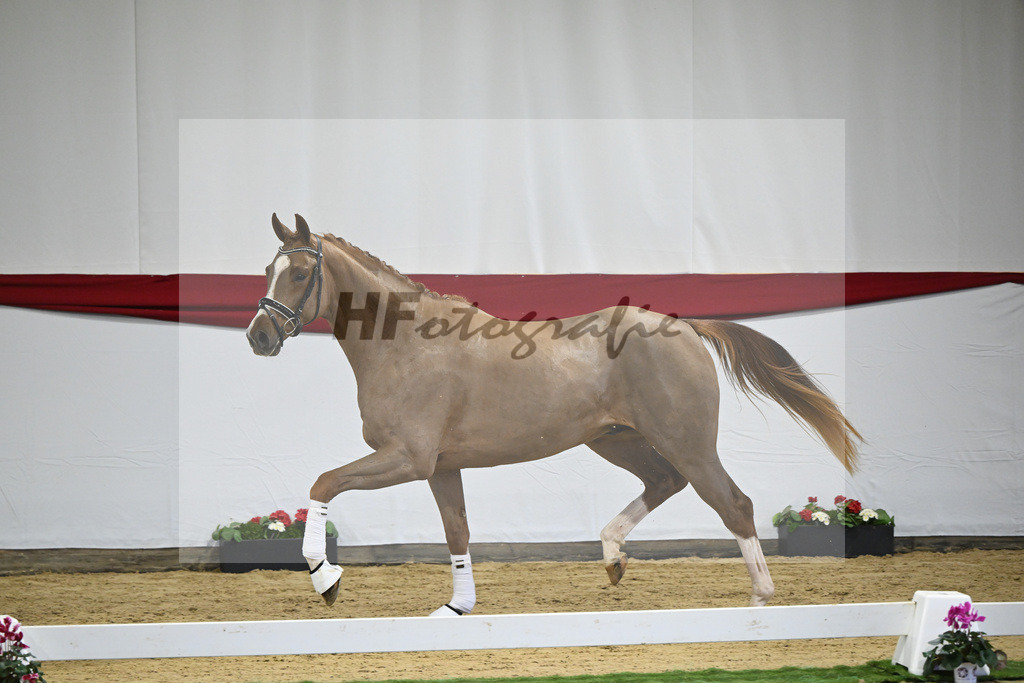 Kat-Nr. 48 v. Danone I_Mueller_63221245 | hf-fotografie - Realizzato con Pictrs.com